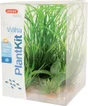 Plante aquarium plantkit wiha n°1