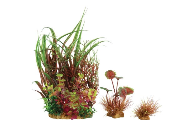 Plante aquarium plantkit wiha n°3