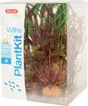 Plante aquarium plantkit wiha n°3