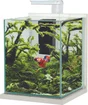 Aquarium verre/bois jalaya xl led filtre 25x25x30cm 18l7 ceruse blanc