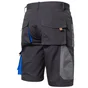 Bermuda DEXTER gris, taille 40