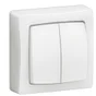 Double interrupteur va-et-vient saillie complet, LEGRAND Asl, blanc