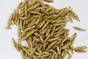 Mélange insectes seches/mouche soldat nr oiseaux du jardin Zolux 250g