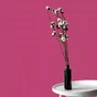 Papier peint vinyle intisse lisse mat fuschia inspire