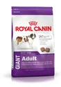 Royal Canin Alimentation Chien Giant Adult 15 Kg