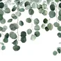 Papier peint panoramique Eucalyptus icarus vert l.159 x H.280 cm