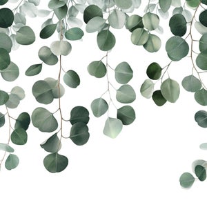 Papier peint panoramique Eucalyptus icarus vert l.159 x H.280 cm