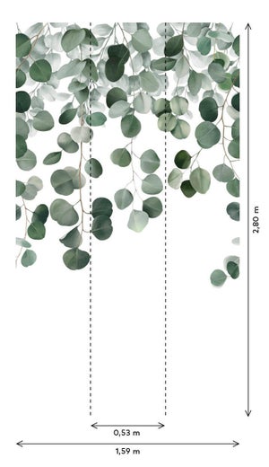 Papier peint panoramique Eucalyptus icarus vert l.159 x H.280 cm