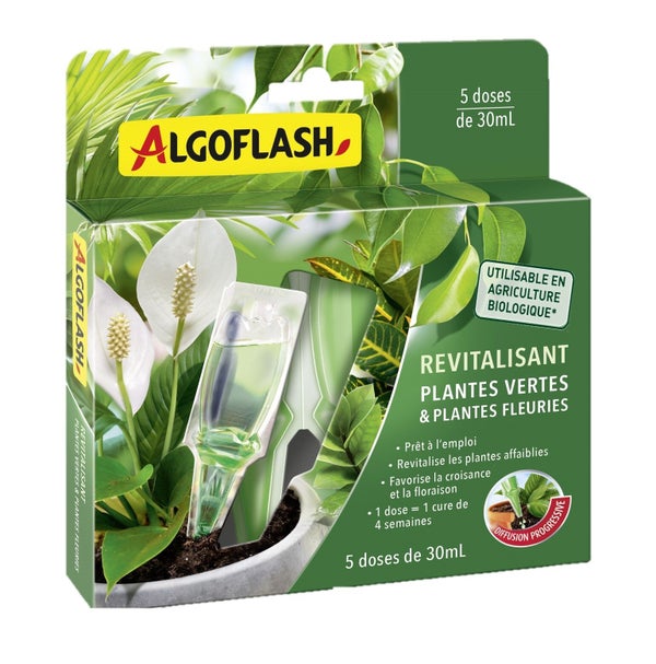 Engrais plantes vertes 5 monodoses 30ml ALGOFLASH