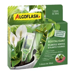 Engrais plantes vertes 5 monodoses 30ml ALGOFLASH