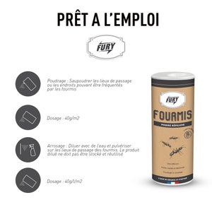 Poudre anti fourmis et rampants, FURY, 150g