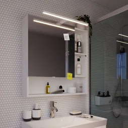 Applique miroir salle de bain Slim 50CM métal blanc mat IP44 INSPIRE