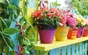 Pot Terre Cuite Deroma Diam.19 X H.17.3 Cm Terre Cuite Rouge