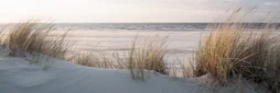 Toile imprimée Golden Dune, CEANOTHE 45 x 135 cm