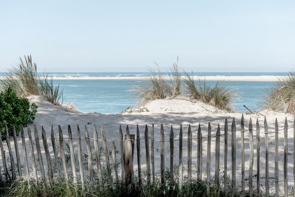Toile imprimée Banc de sable,CEANOTHE 65 x 97 cm