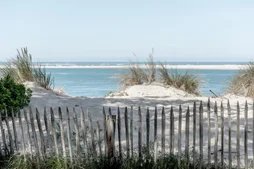 Toile imprimée Banc de sable,CEANOTHE 65 x 97 cm