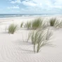 Toile imprimée Sandy Beach 2, CEANOTHE 30 x 30 cm