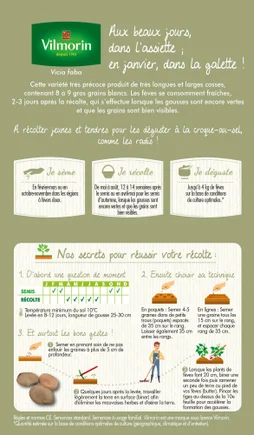 Graine potager d'aguadulce à très longue cosse VILMORIN 250 g
