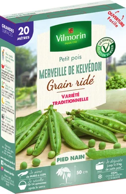 Graine potager Pois merveille de Kelvedon VILMORIN