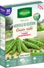 Graine potager Pois merveille de Kelvedon VILMORIN
