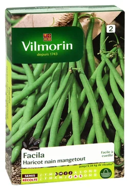 Haricot nain facila VILMORIN 200 g