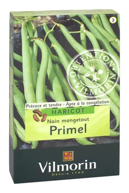 Haricot primel VILMORIN 200 g