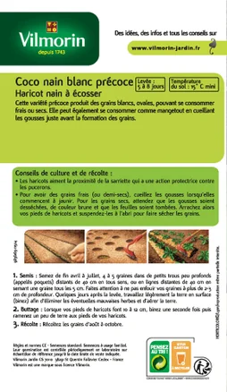 Graine potager Haricot coco nain blanc VILMORIN