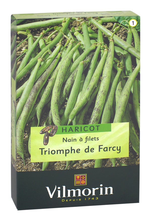 Haricot triomphe de farcy VILMORIN 250 g