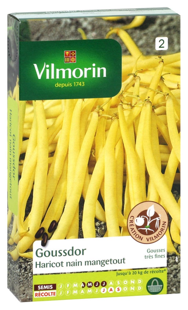 Haricot beurre goussdor VILMORIN 200 g