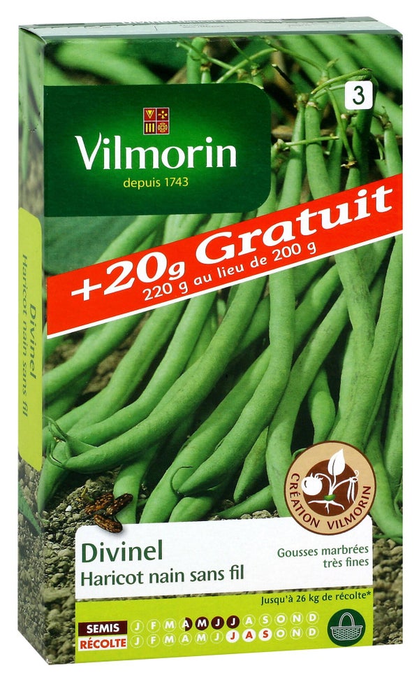 Haricot divinel (+ 20 grammes gratuits) VILMORIN 220 g