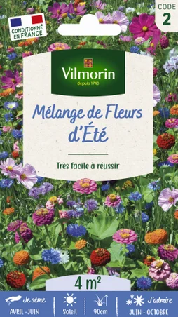 Mélange de fleurs d'été en mélange