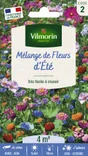 Mélange de fleurs d'été en mélange