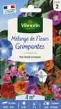 Mélange de fleurs grimpantes multicolore