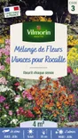 Vivaces pour rocaille pour rocaille mélange varié