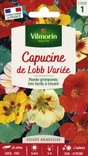 Capucine de lobb spit fire jaune à rouge
