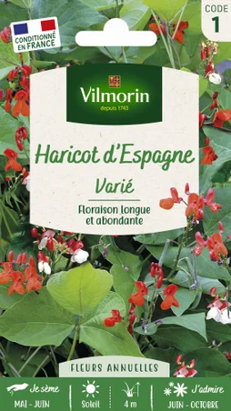 Haricot espagne varié VILMORIN 15 g
