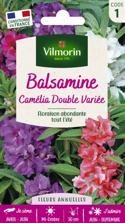 Balsamine camélia boucle varié du rose au pourpre