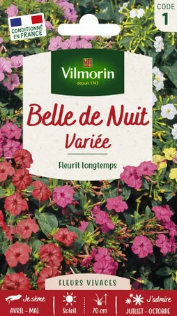 Belle de nuit graines de fleurs multicolore