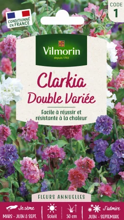 Clarkia élégant double blanc, rose, saumon, violet