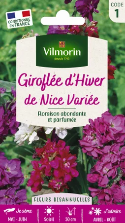 Giroflée d'hiver de nice varié