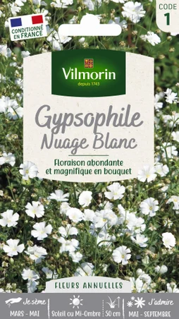 Gypsophile graine florale blanc
