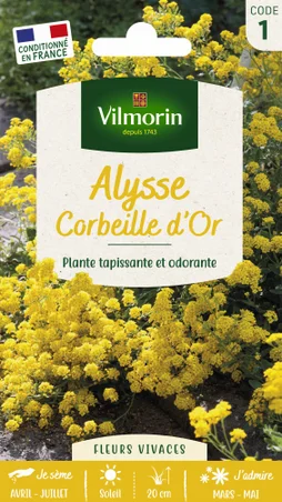 Alysse corbeille d'or jaune