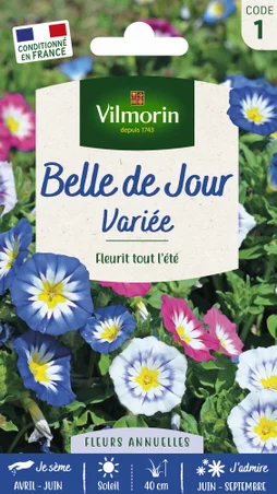 Belle de jour graines de fleurs multicolore