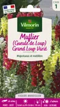 Muflier grand'loup multicolore