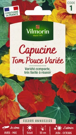 Capucine naine tom pouce jaune à rouge