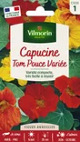 Capucine naine tom pouce jaune à rouge