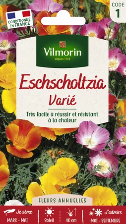 Escholzia de californie jaune, orange, rose, rouge