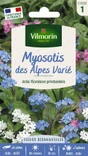 Myosotis des alpes varié
