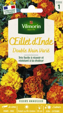 Œillet d'Inde double nain varié