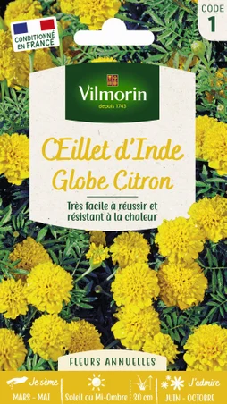 Œillet d'Inde globe citron jaune